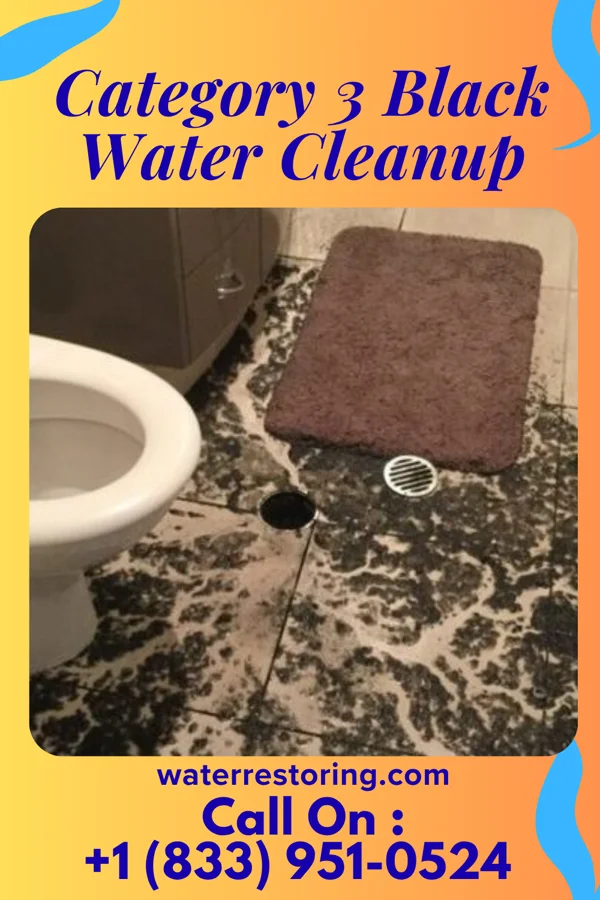Category 3 Black Water Cleanup in Vicksburg, MS