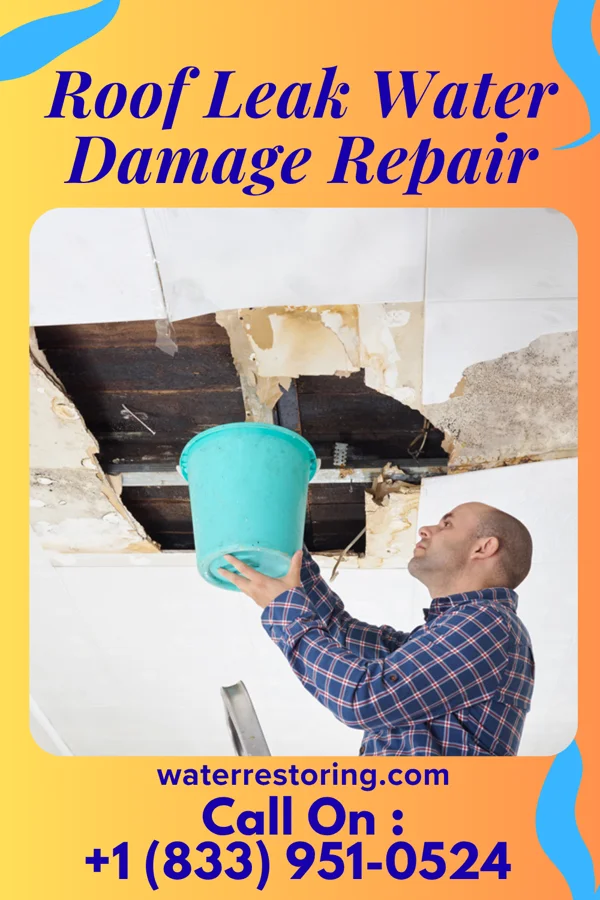 Roof Leak Water Damage Repair in Vicksburg, MS