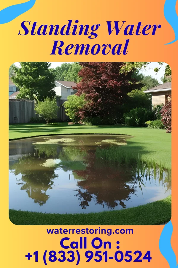 Standing Water Removal in Vicksburg, MS